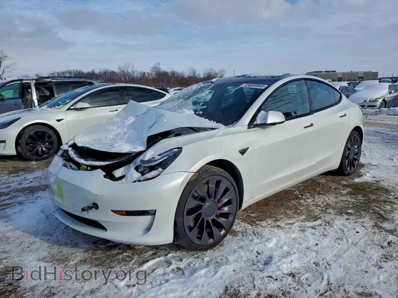 Photo 5YJ3E1EC9PF503478 - TESLA MODEL 3 2023