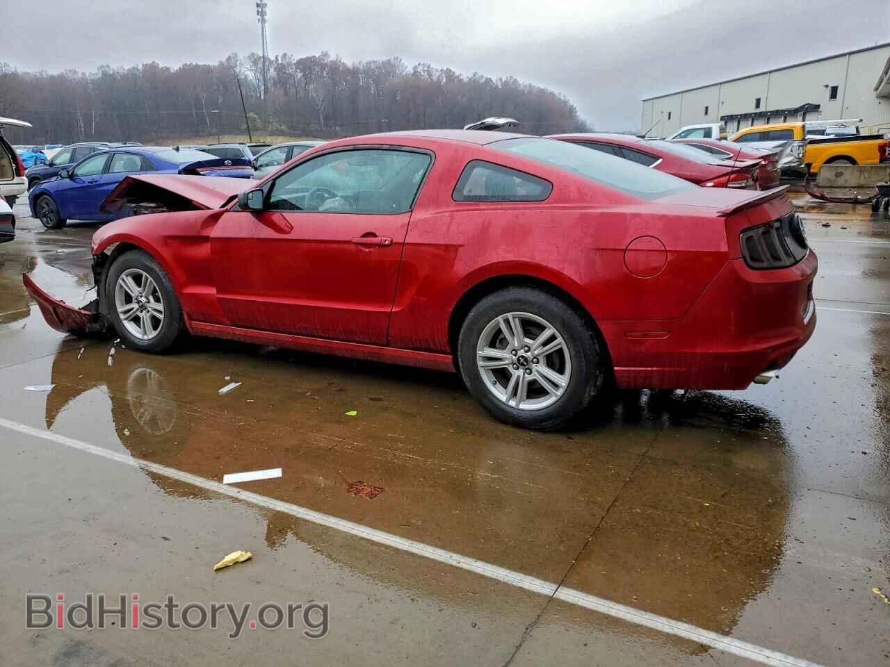 2013 FORD ALL Models - VIN: 1ZVBP8AM5D5278483 - Фото 2