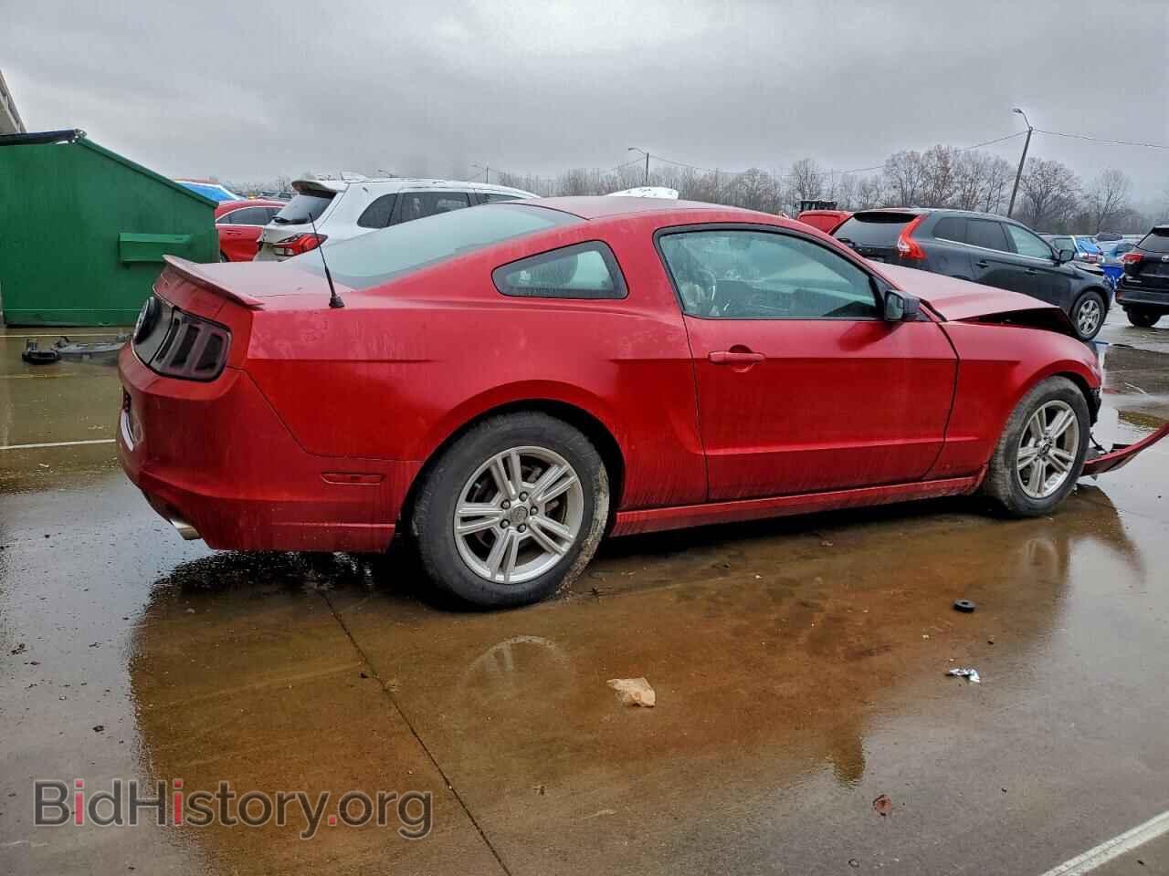 2013 FORD ALL Models - VIN: 1ZVBP8AM5D5278483 - Фото 3