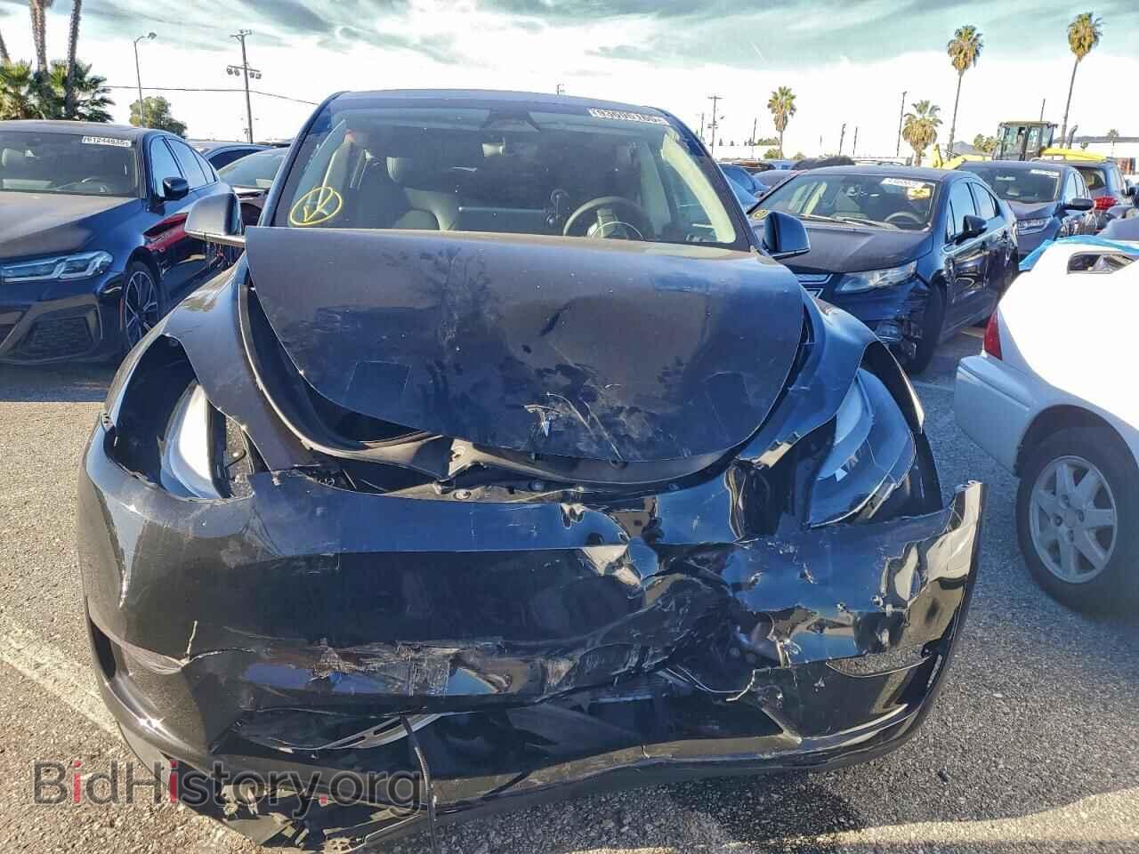 2024 TESLA MODEL Y - VIN: 7SAYGDED2RF162618 - Photo 5