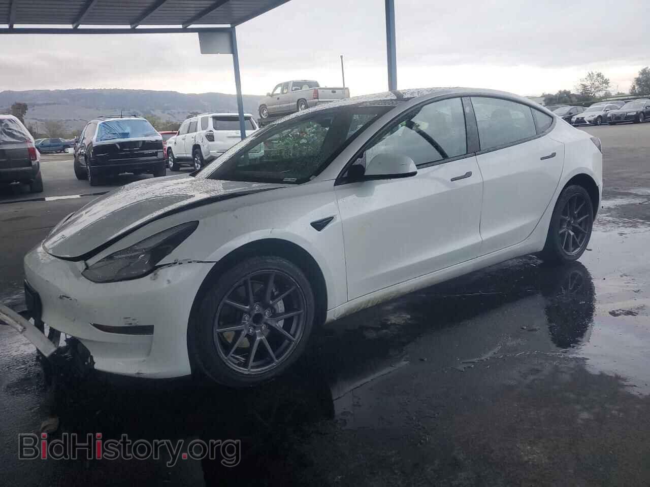 Photo 5YJ3E1EA5PF447067 - TESLA MODEL 3 2023