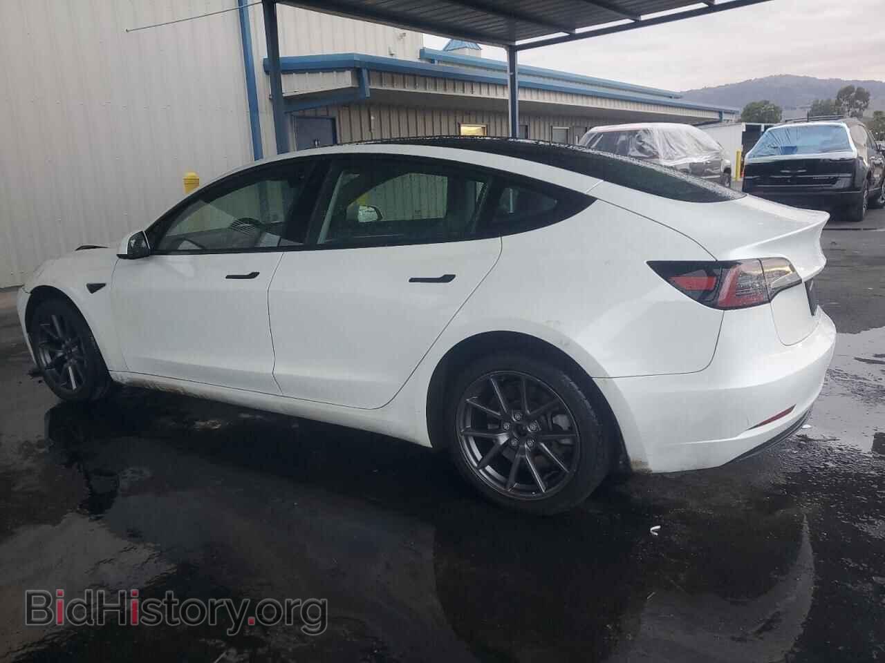2023 TESLA MODEL 3 - VIN: 5YJ3E1EA5PF447067 - Фото 2