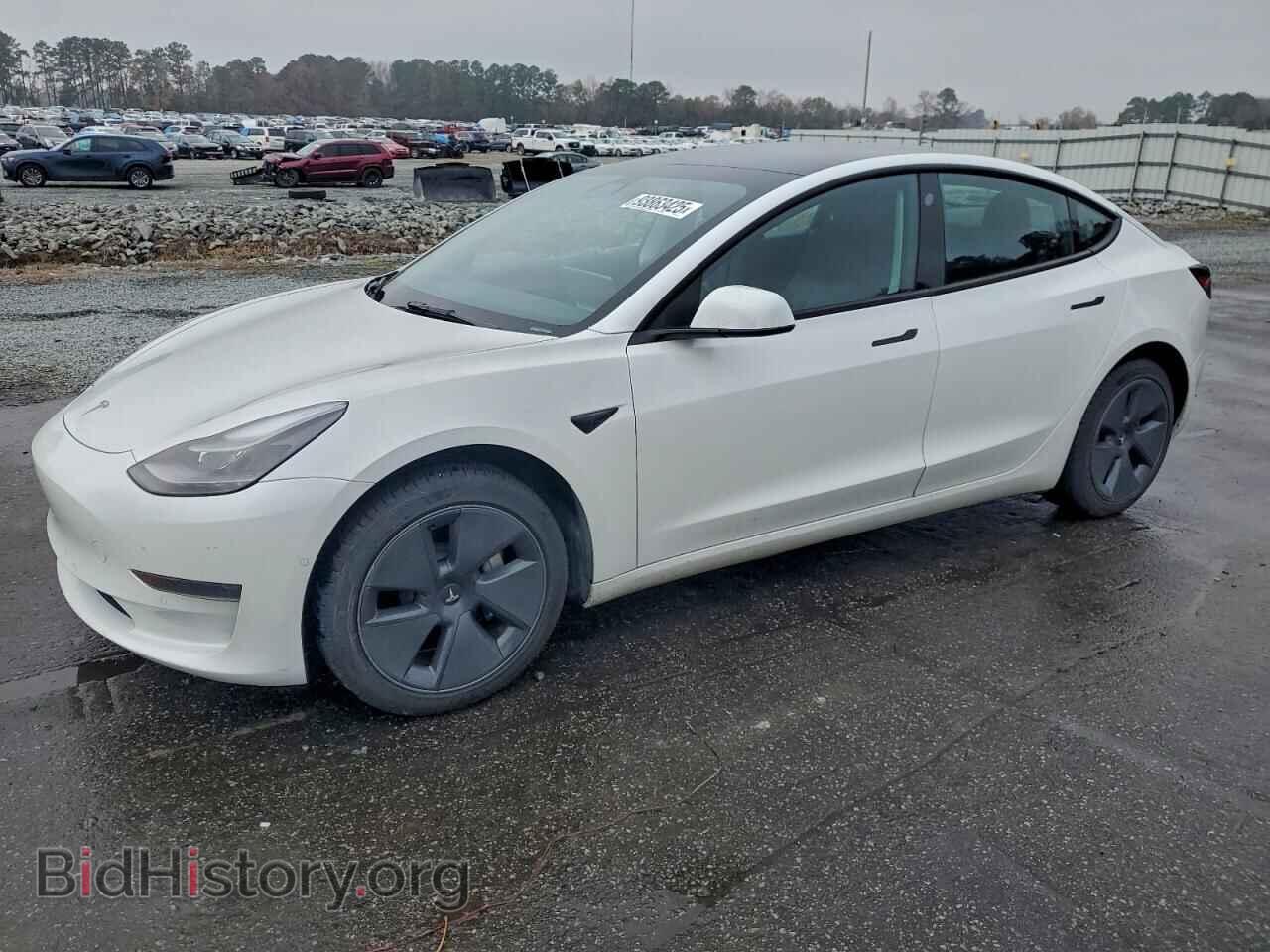 Photo 5YJ3E1EA7MF087196 - TESLA MODEL 3 2021