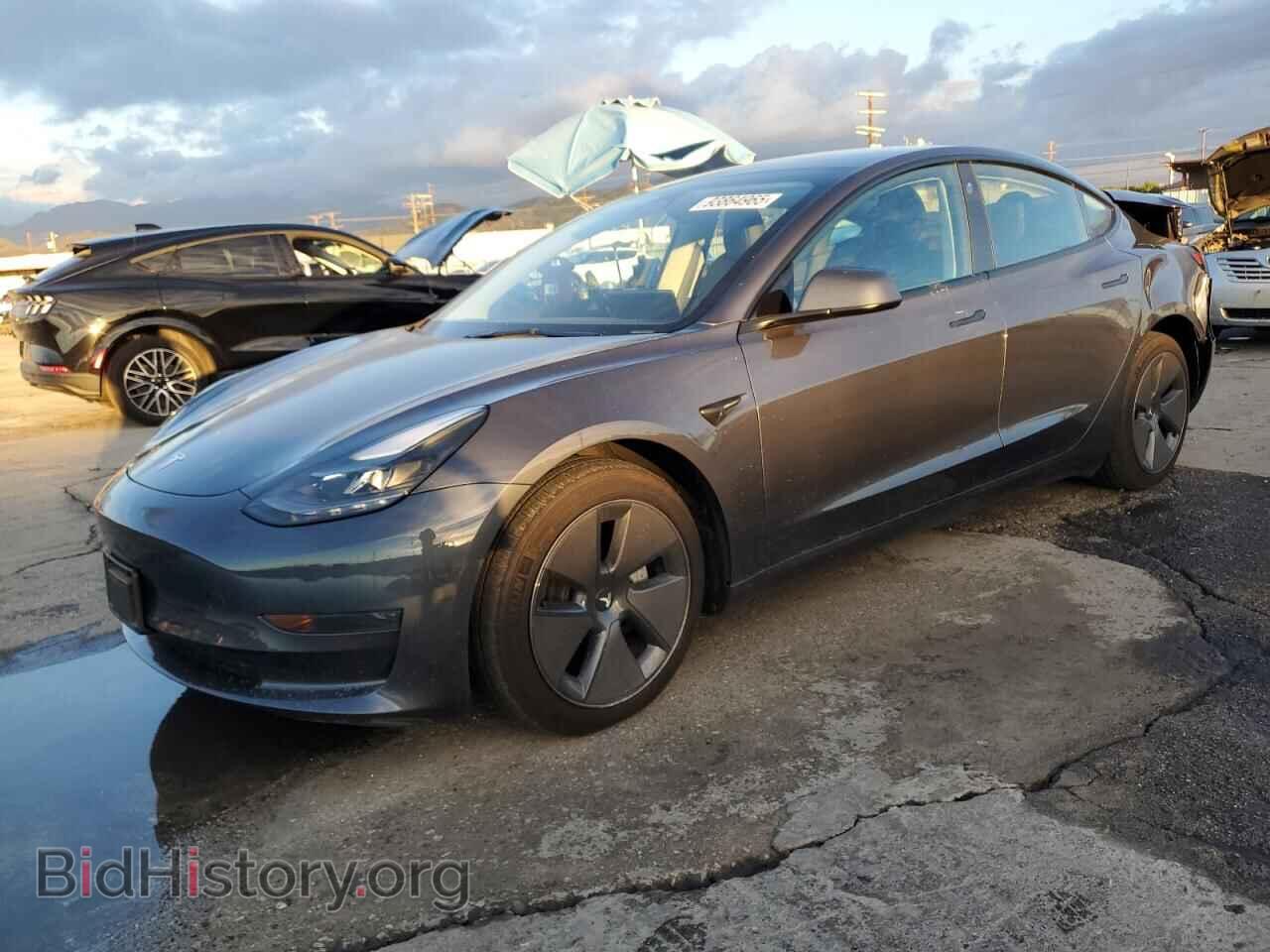 Photo 5YJ3E1EA4PF644036 - TESLA MODEL 3 2023