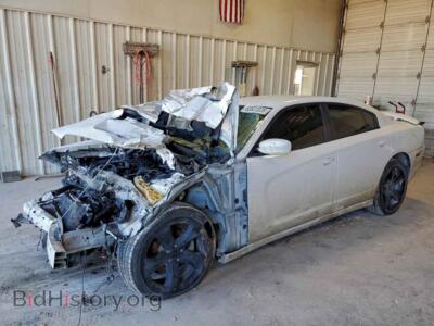 2014 Dodge CHARGER SXT, белый — VIN 2C3CDXHG8EH137755, Copart