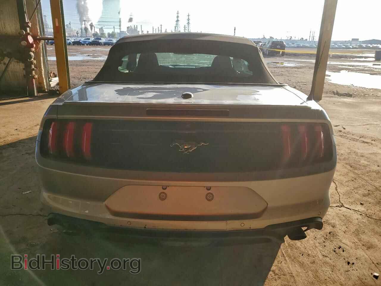 2019 FORD ALL Models - VIN: 1FATP8UH0K5158342 - Photo 6