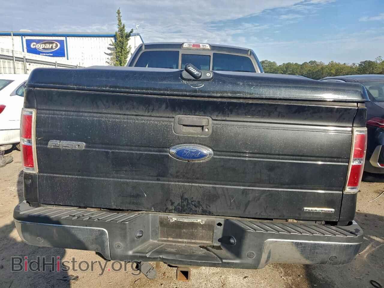2013 FORD F-150 - VIN: 1FTFX1CF0DFA93374 - Фото 6