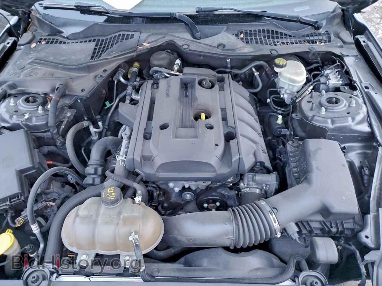 2017 FORD ALL Models - VIN: 1FA6P8TH6H5218230 - Фото 11