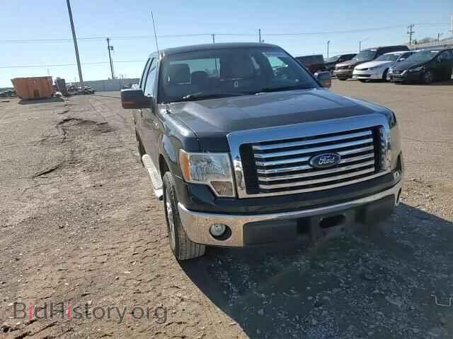 2012 FORD F-150 - VIN: 1FTEX1CM2CFA86869 - Фото 13