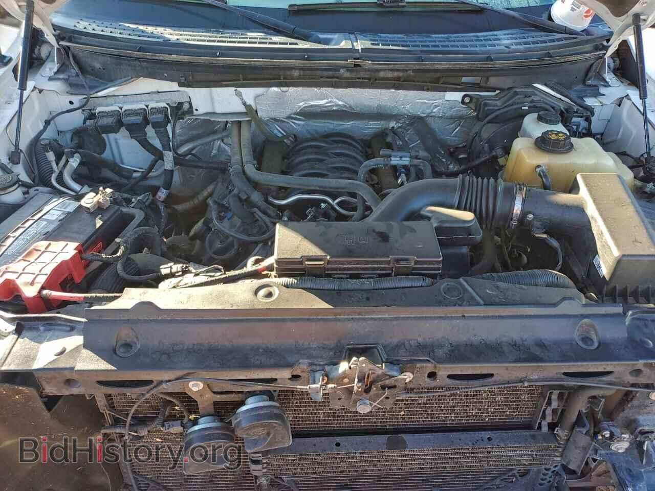 2012 FORD F-150 - VIN: 1FTFW1EF5CFC97683 - Фото 11