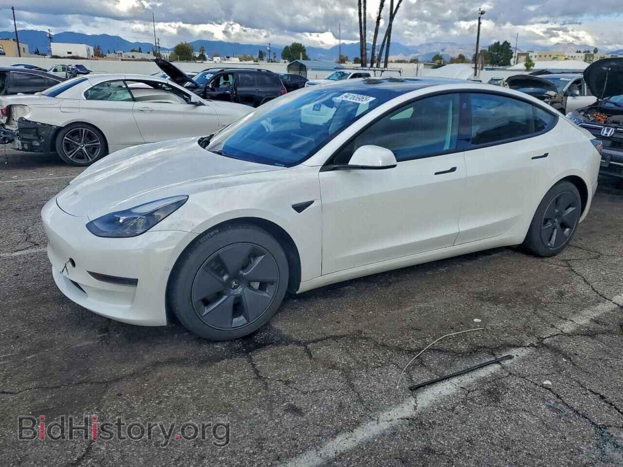 Photo 5YJ3E1EA3MF029098 - TESLA MODEL 3 2021