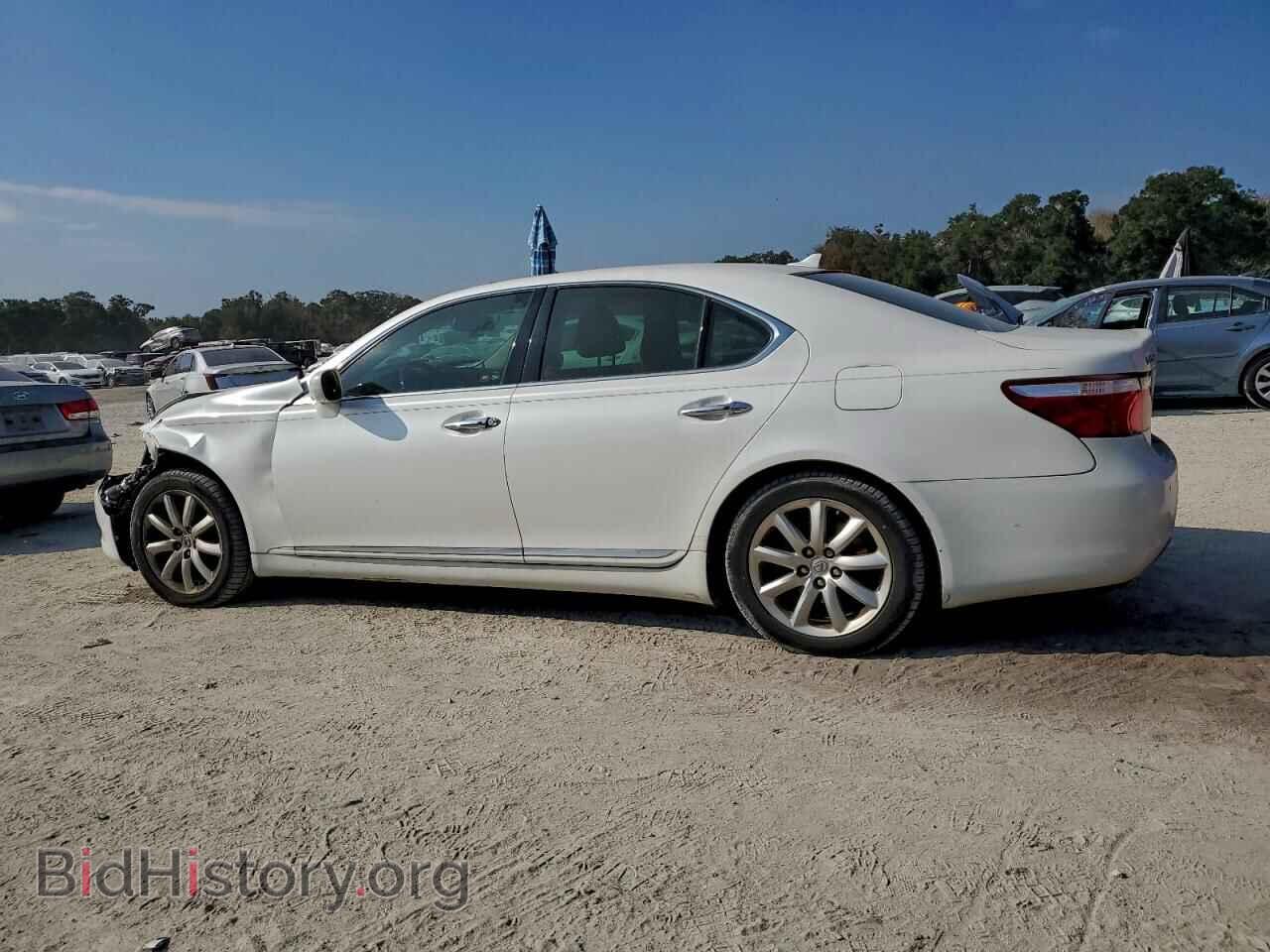 2009 LEXUS LS460 - VIN: JTHBL46F395090195 - Фото 2