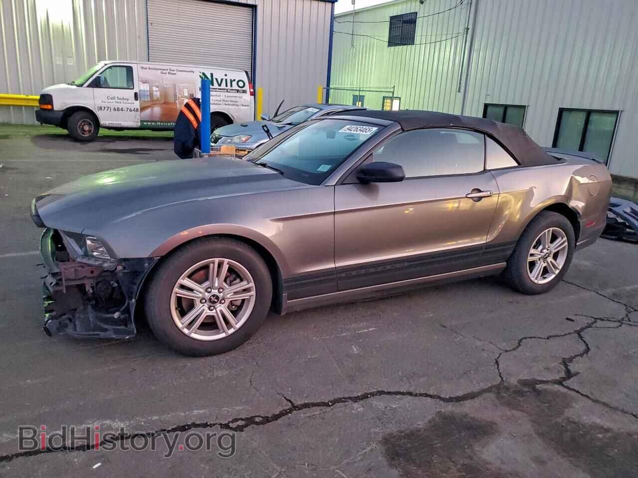 Photo 1ZVBP8EM0D5242100 - FORD ALL Models 2013