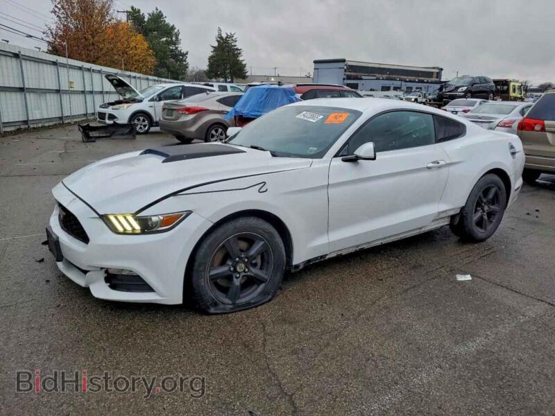 2017 Ford ALL MODELS (VIN 1FA6P8AM4H5256975) — фото 1 из 13, Copart, повреждение: передняя часть