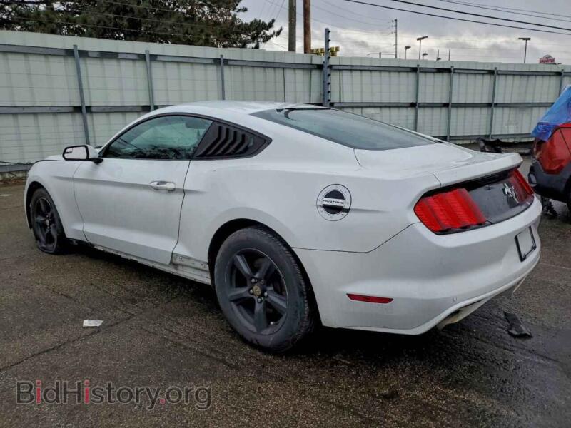 2017 Ford ALL MODELS (VIN 1FA6P8AM4H5256975) — фото 2 из 13