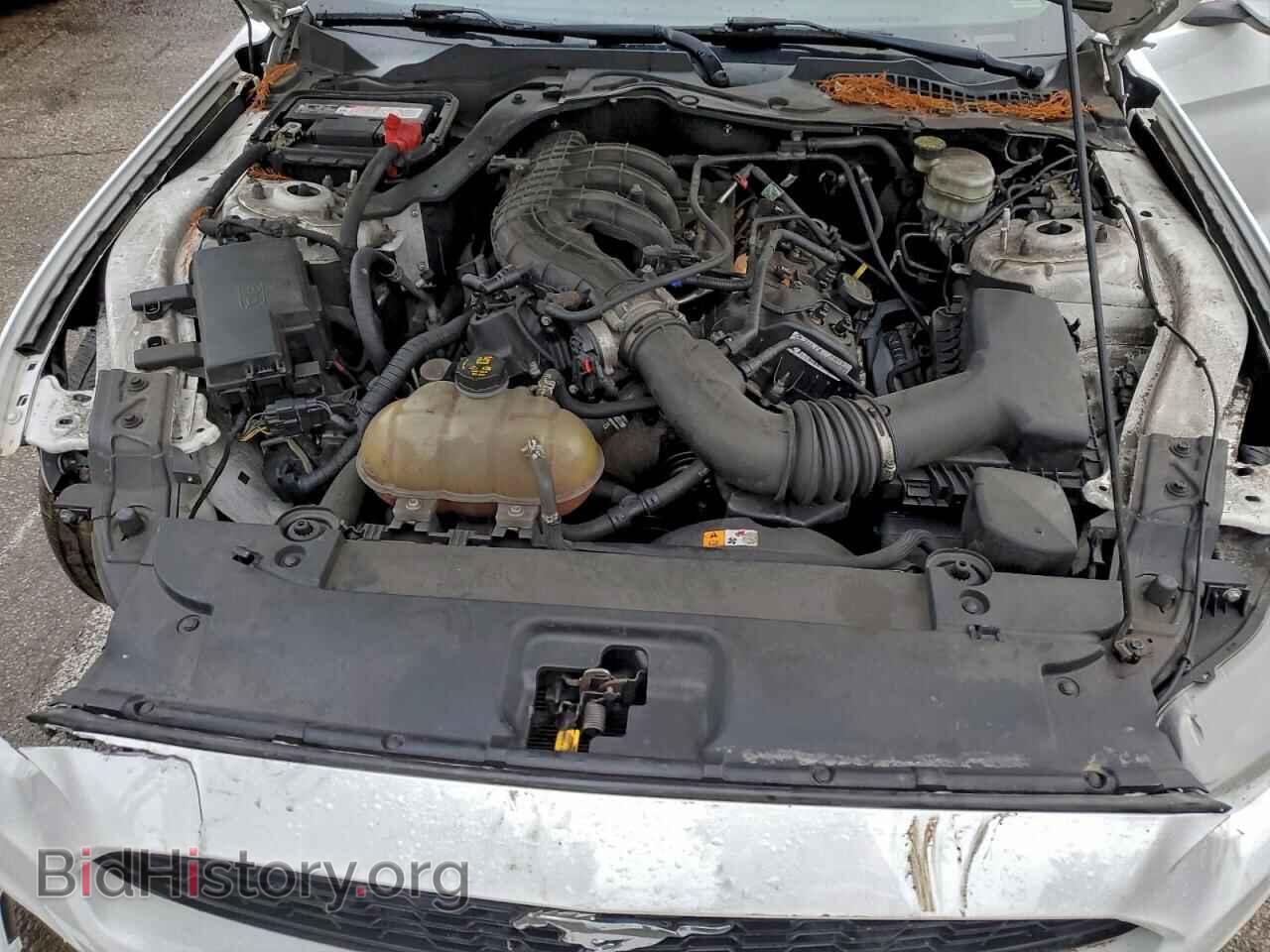 2017 FORD ALL Models - VIN: 1FA6P8AM4H5256975 - Фото 11