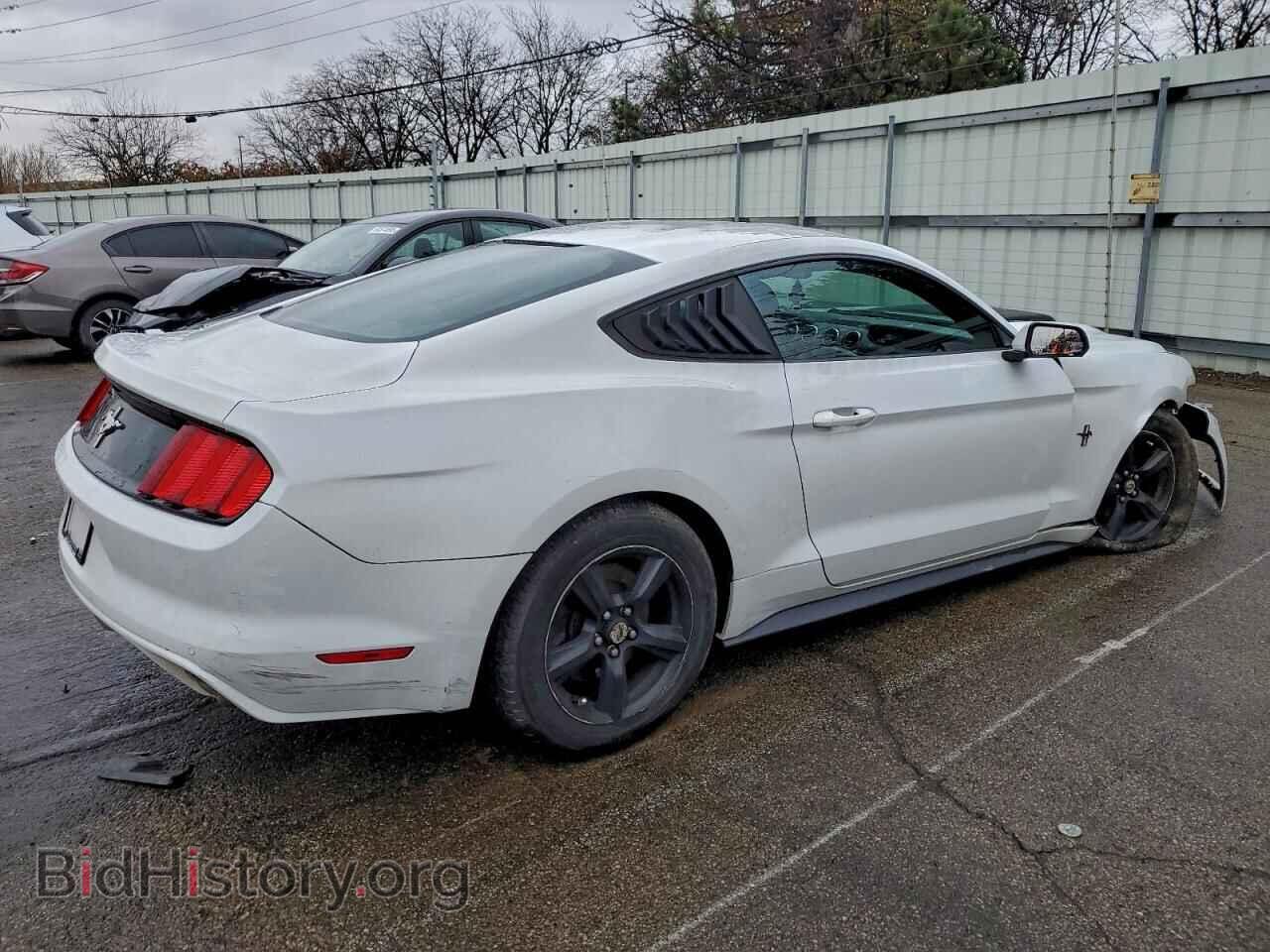 2017 FORD ALL Models - VIN: 1FA6P8AM4H5256975 - Фото 3