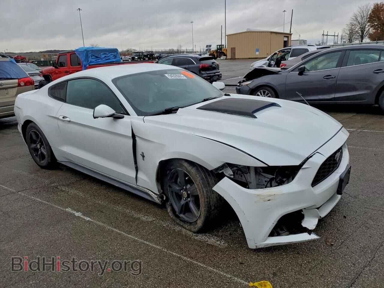2017 FORD ALL Models - VIN: 1FA6P8AM4H5256975 - Фото 4