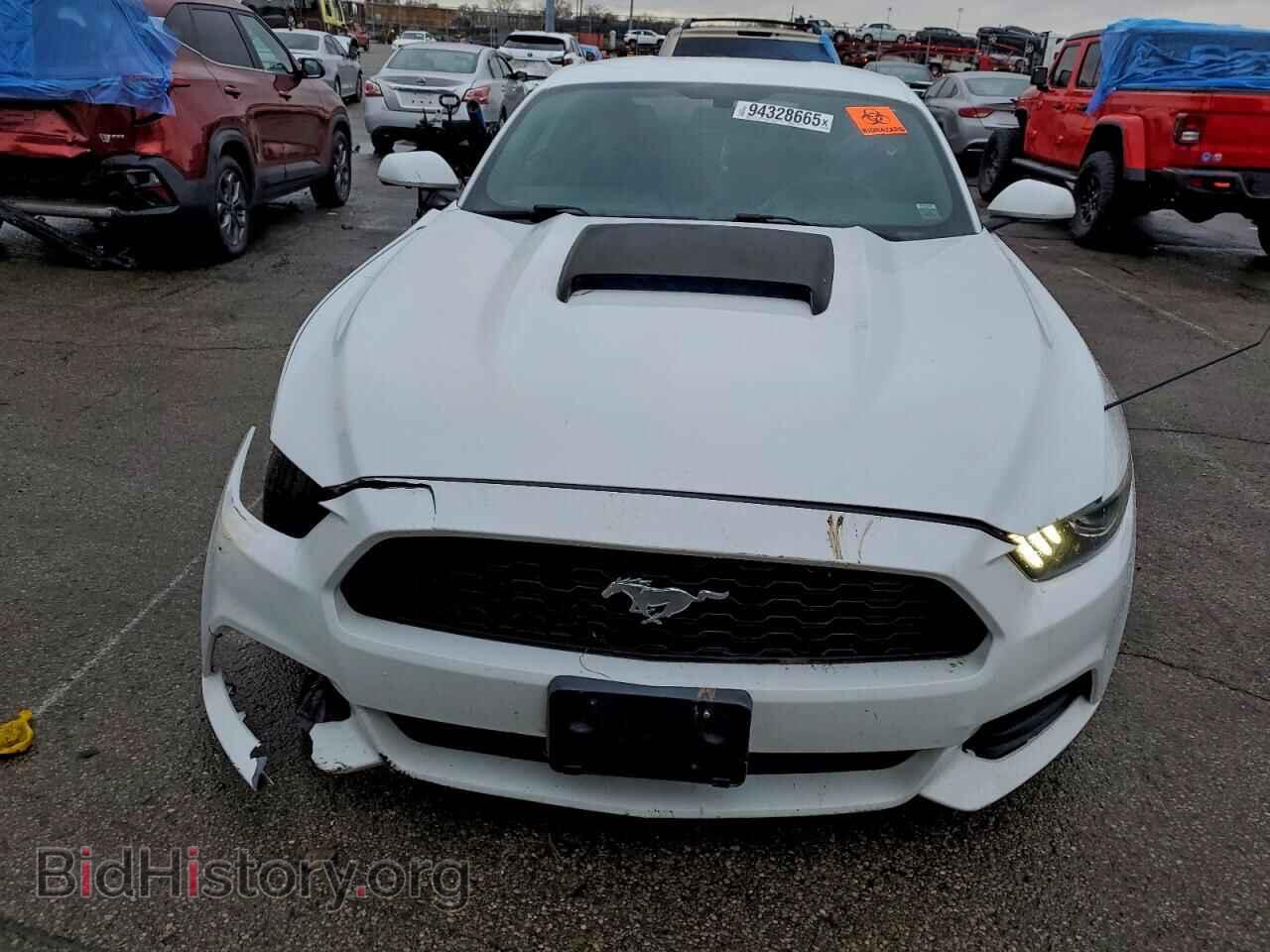 2017 FORD ALL Models - VIN: 1FA6P8AM4H5256975 - Фото 5