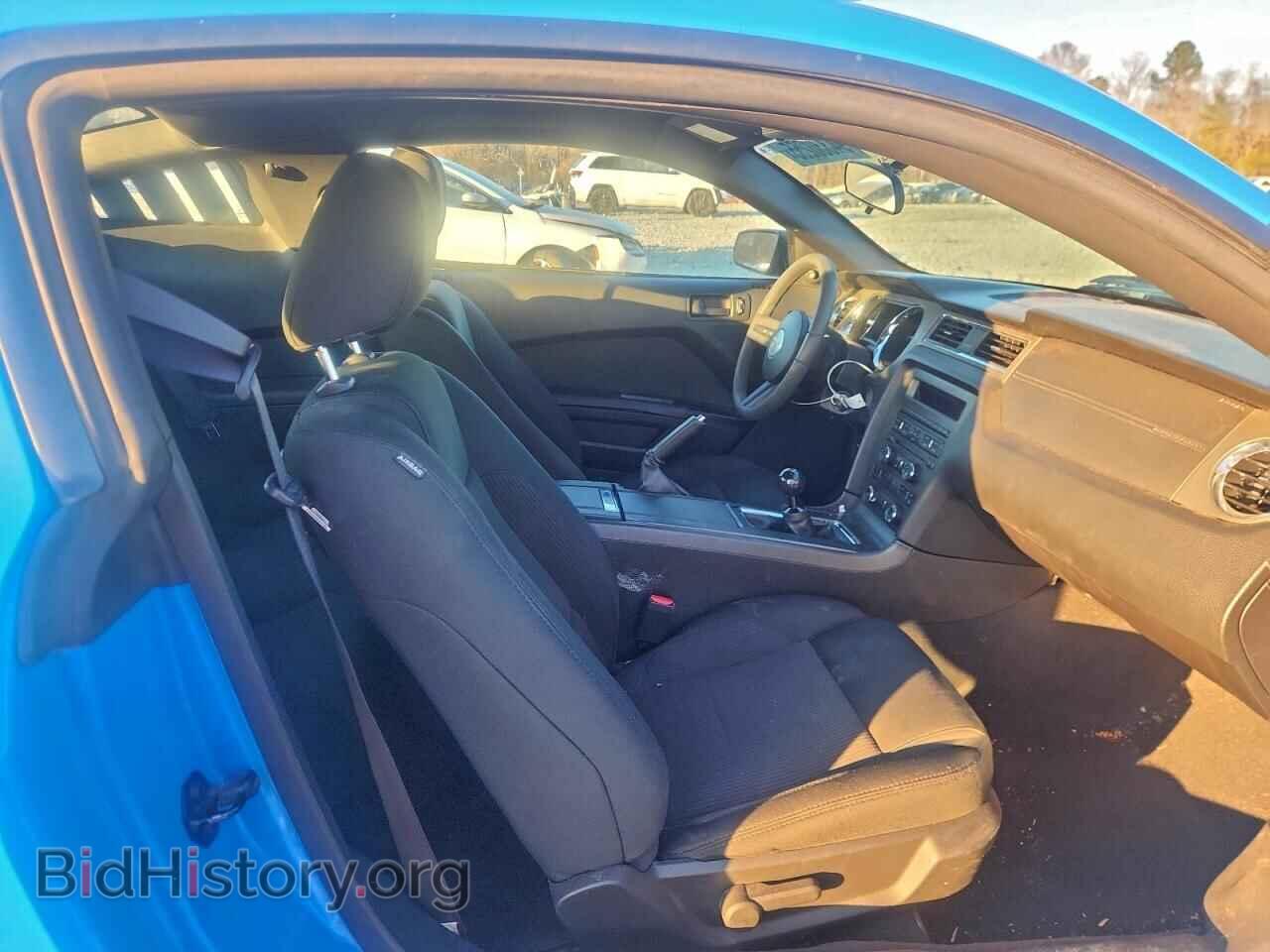 2010 FORD MUSTANG - VIN: 1ZVBP8CH7A5120321 - Фото 10