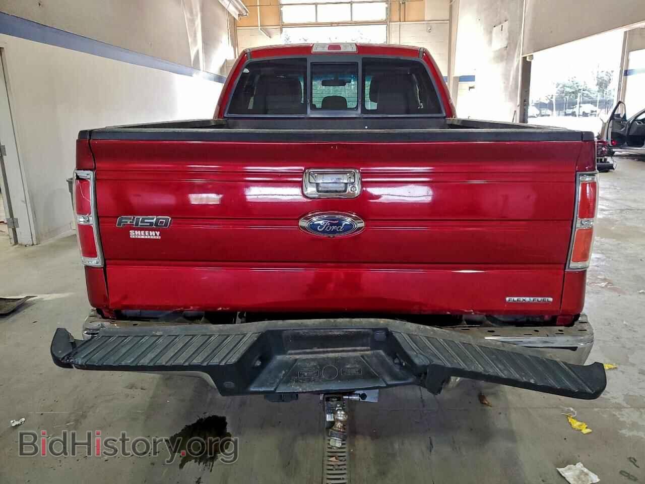 2013 FORD F-150 - VIN: 1FTFX1EF4DFB73595 - Фото 6