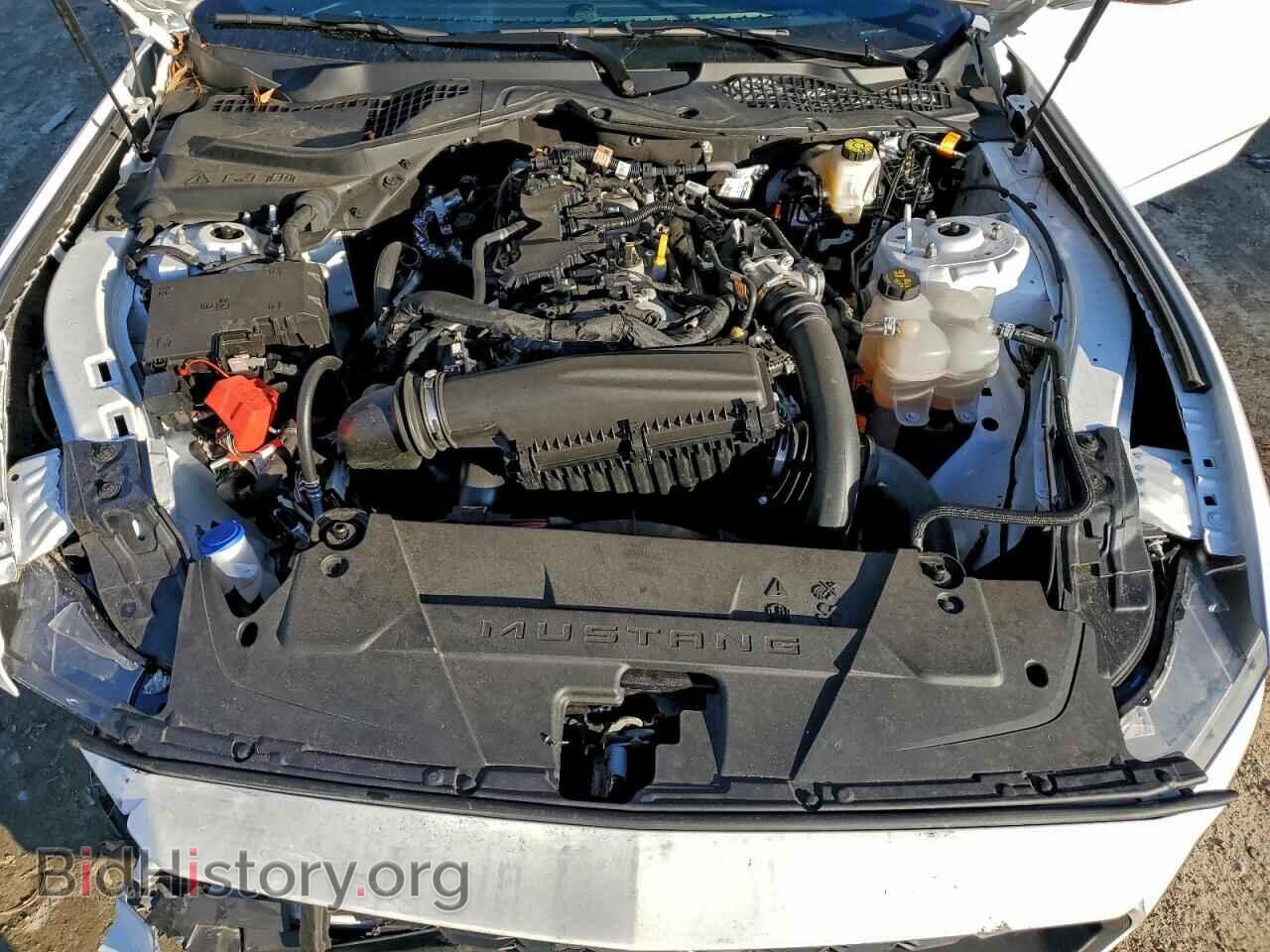 2024 FORD ALL Models - VIN: 1FA6P8TH8R5125792 - Фото 11