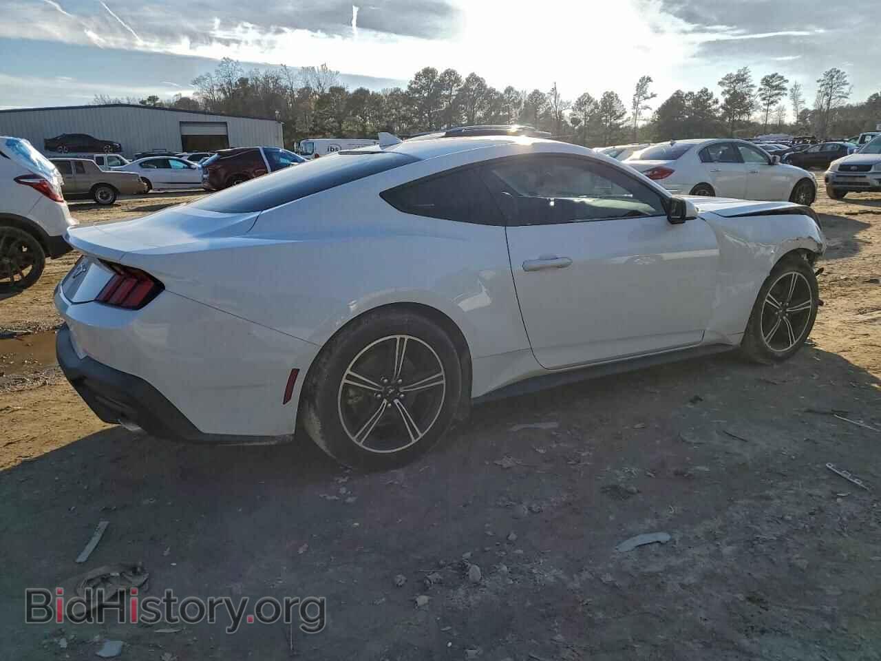 2024 FORD ALL Models - VIN: 1FA6P8TH8R5125792 - Фото 3