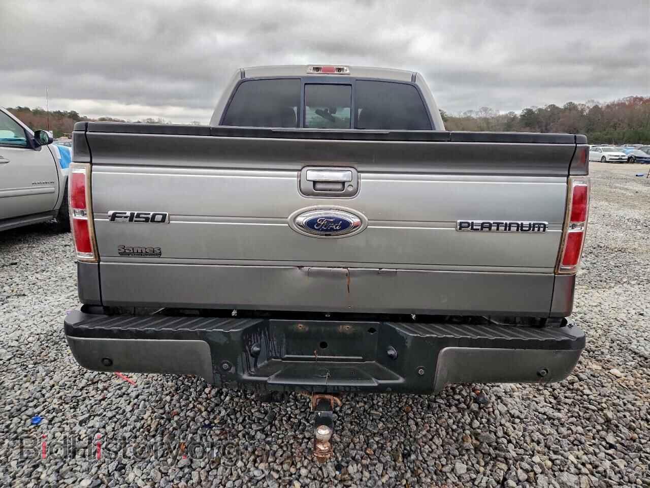 2010 FORD F-150 - VIN: 1FTFW1EV4AFA69002 - Фото 6