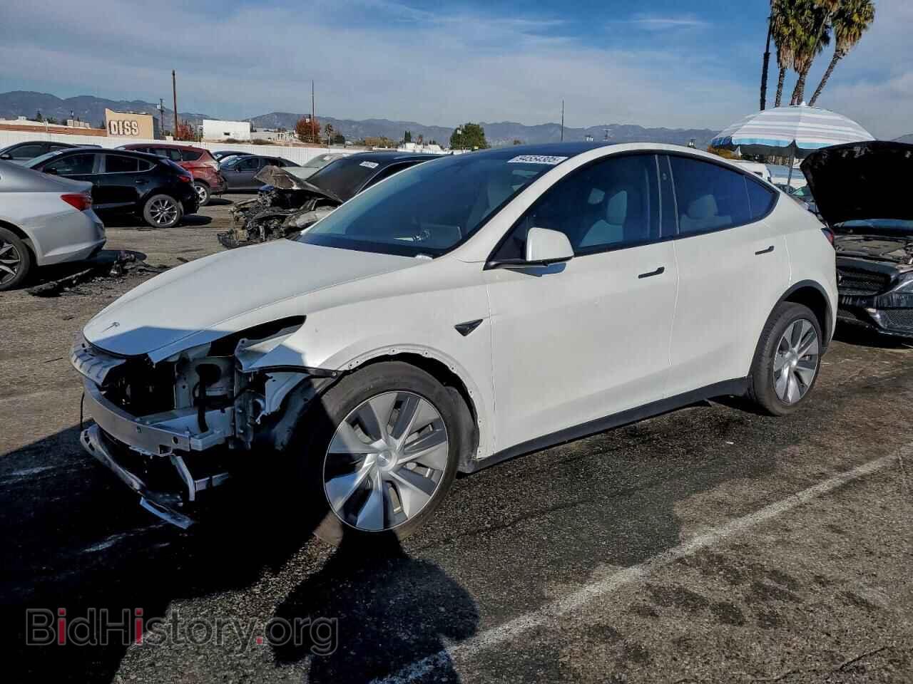 Фотография 7SAYGDED2RF041734 - TESLA MODEL Y 2024
