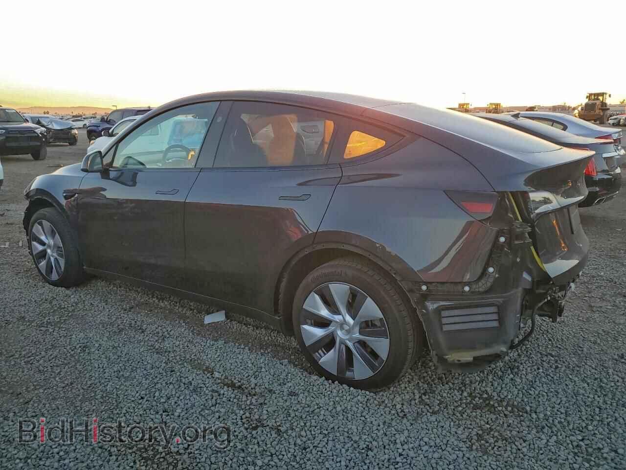 2024 TESLA MODEL Y - VIN: 7SAYGDEE4RA218242 - Фото 2