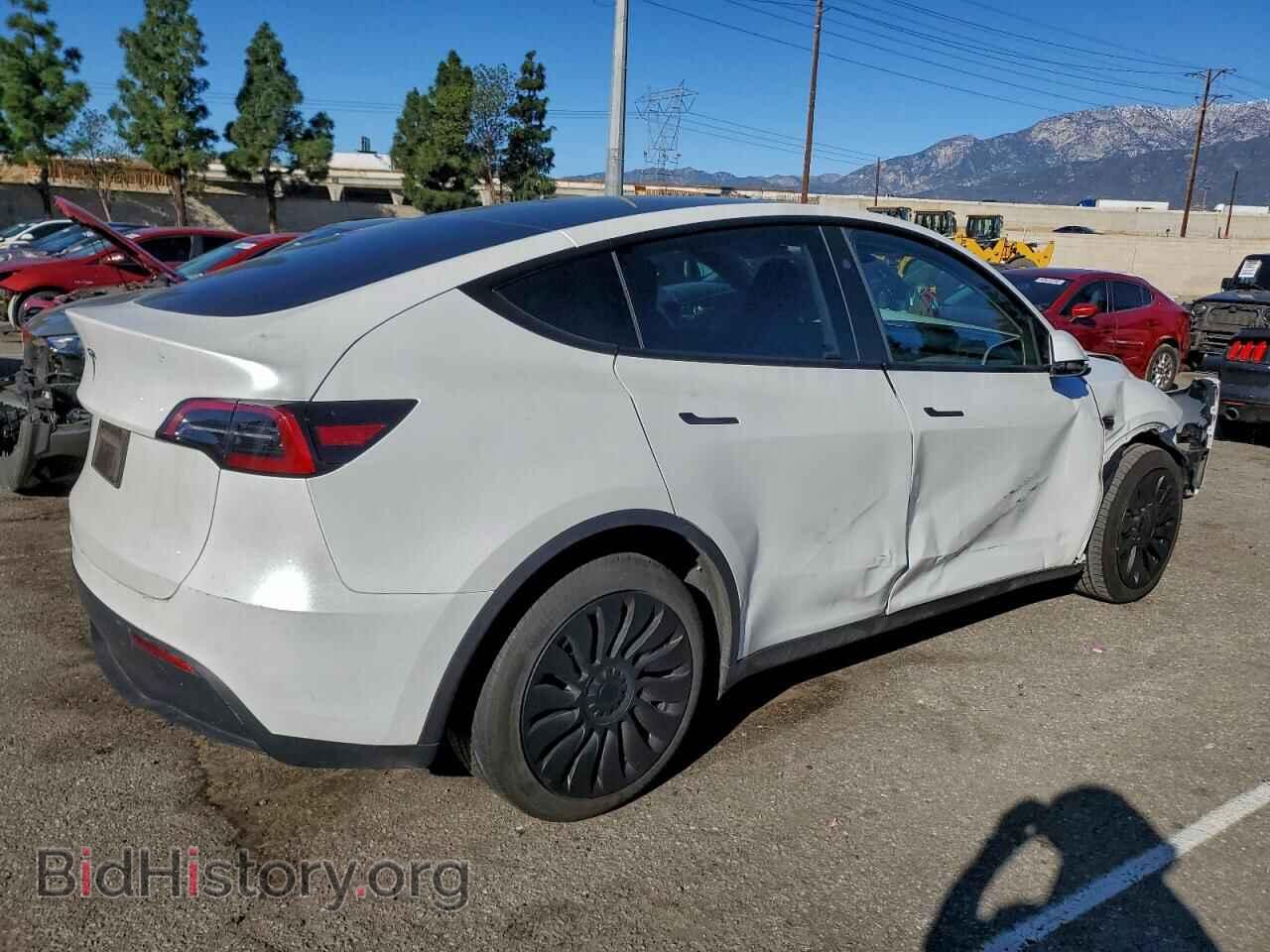 2024 TESLA MODEL Y - VIN: 7SAYGDED1RF055396 - Photo 3