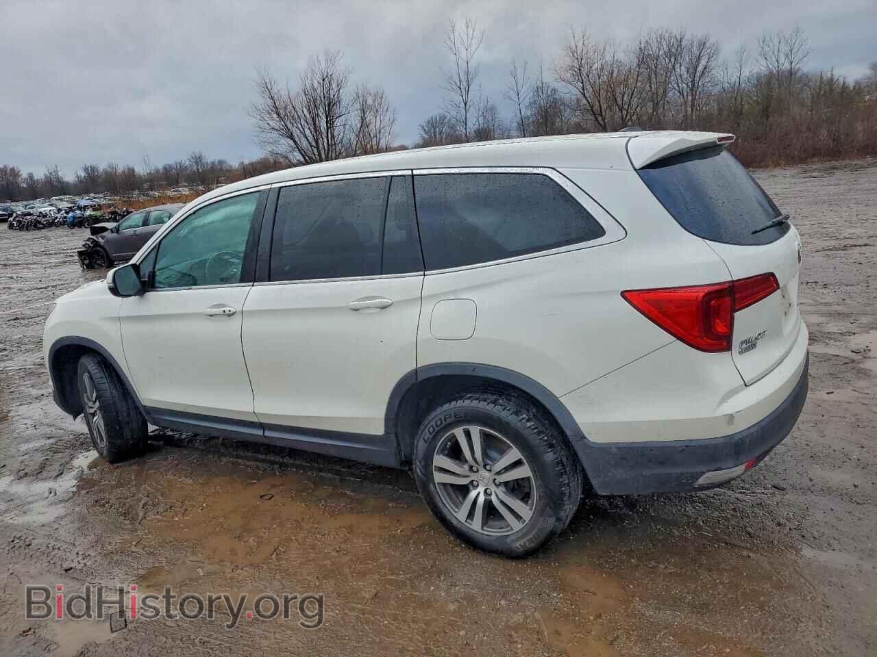 2017 HONDA PILOT - VIN: 5FNYF6H57HB045552 - Фото 2