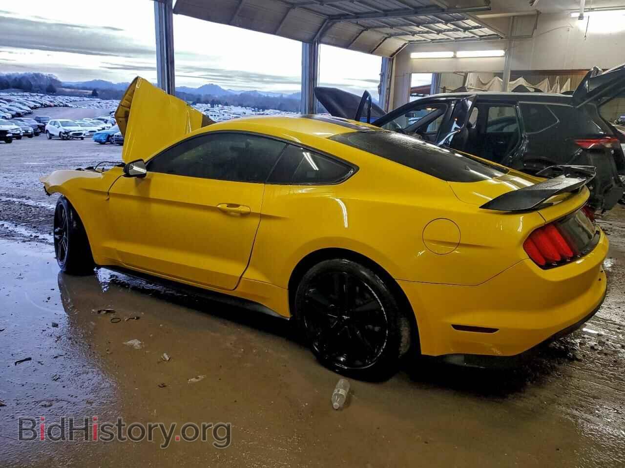 2017 FORD ALL Models - VIN: 1FA6P8TH8H5335212 - Photo 2