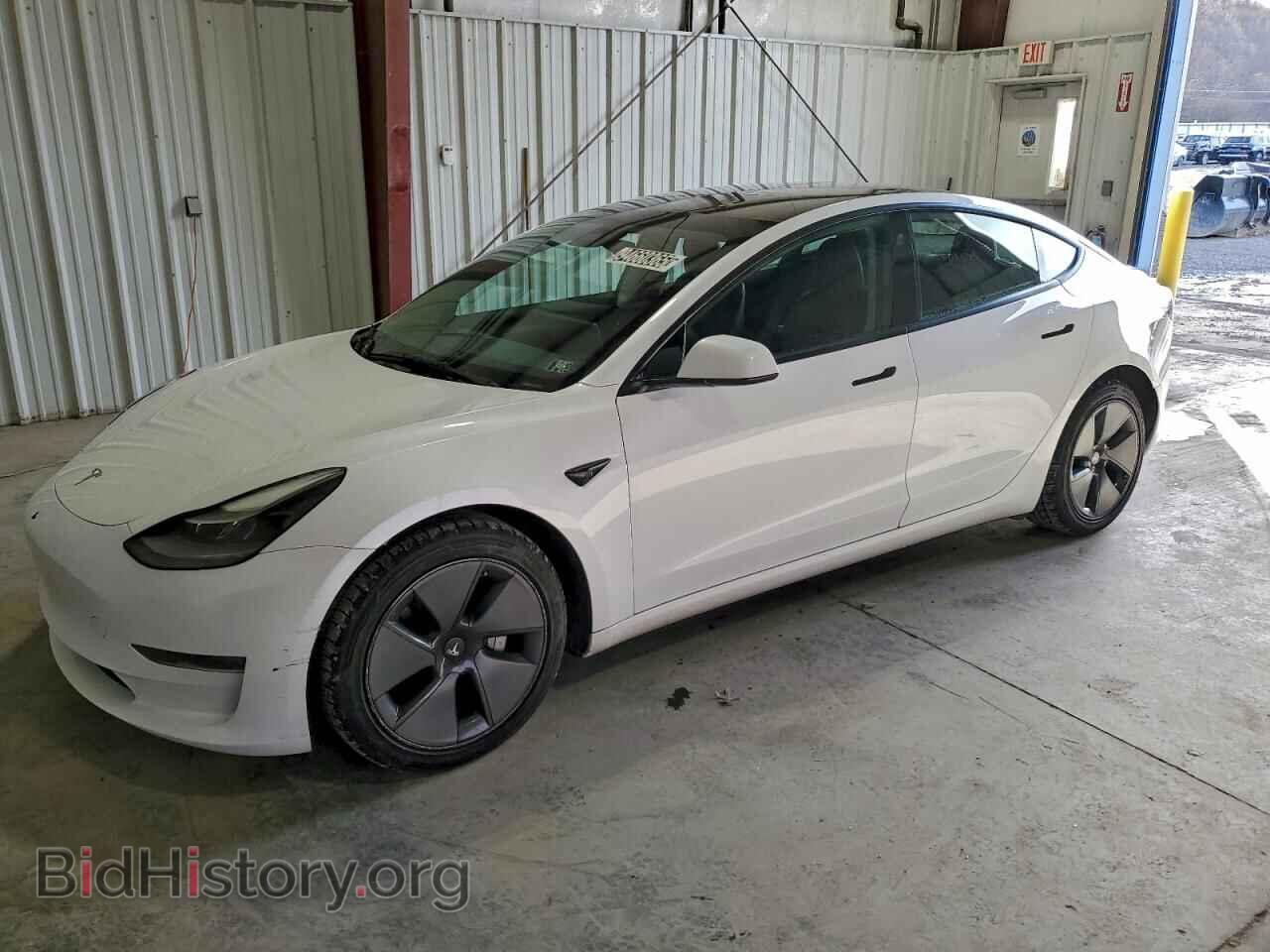 Photo 5YJ3E1EA1PF426779 - TESLA MODEL 3 2023