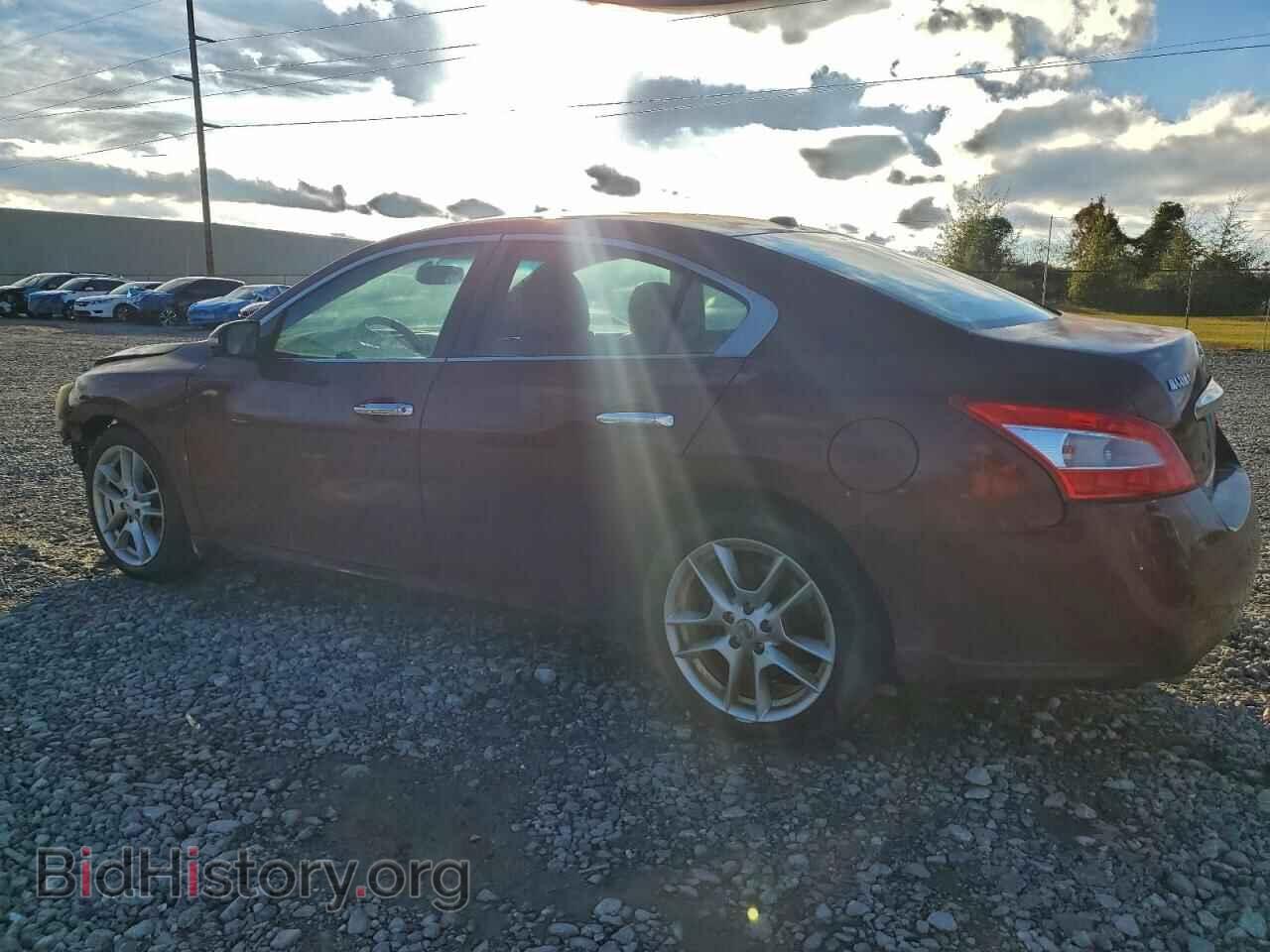 2011 NISSAN MAXIMA - VIN: 1N4AA5AP1BC845571 - Фото 2
