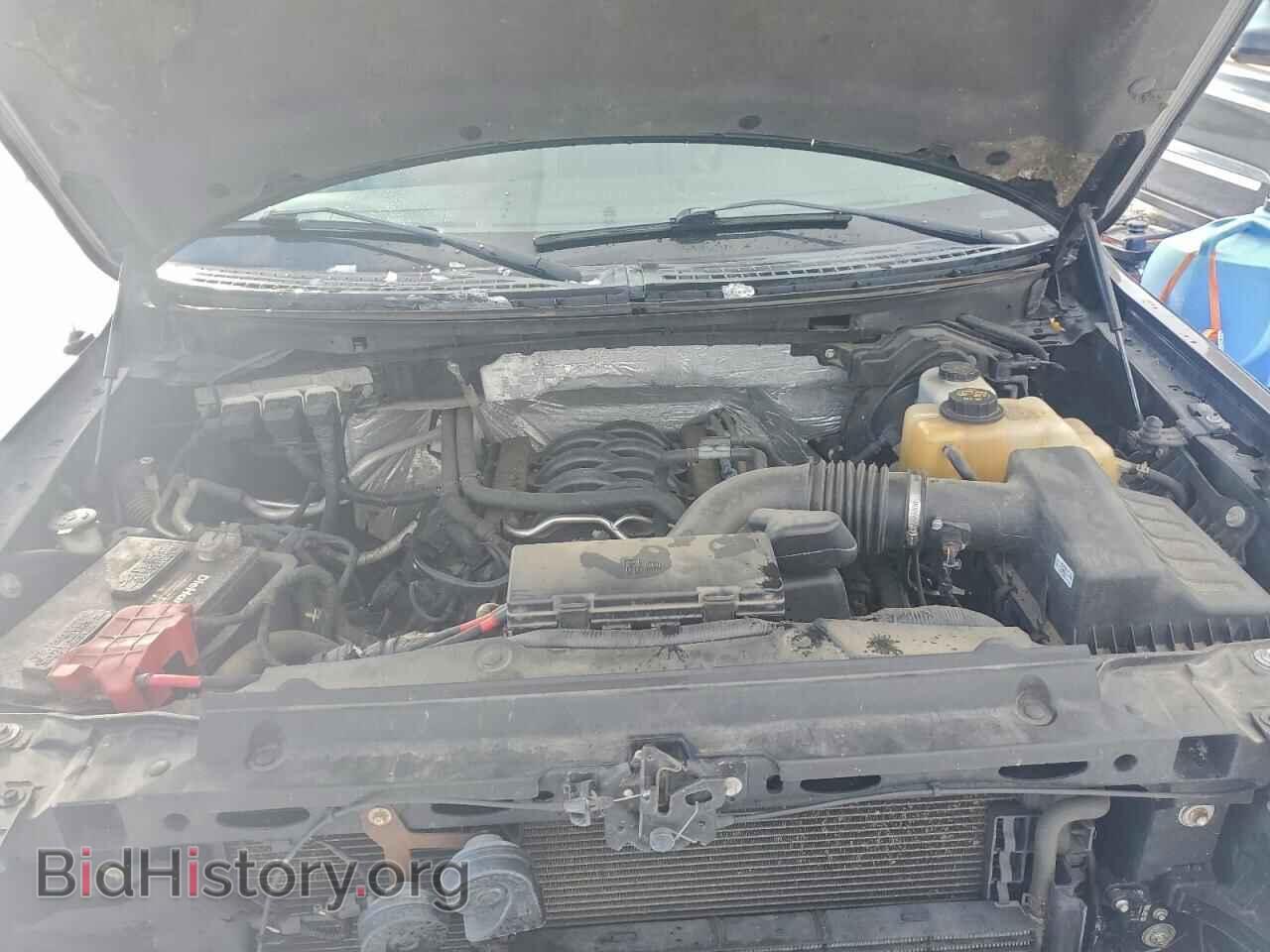2013 FORD F-150 - VIN: 1FTFX1EF0DFE00569 - Фото 11