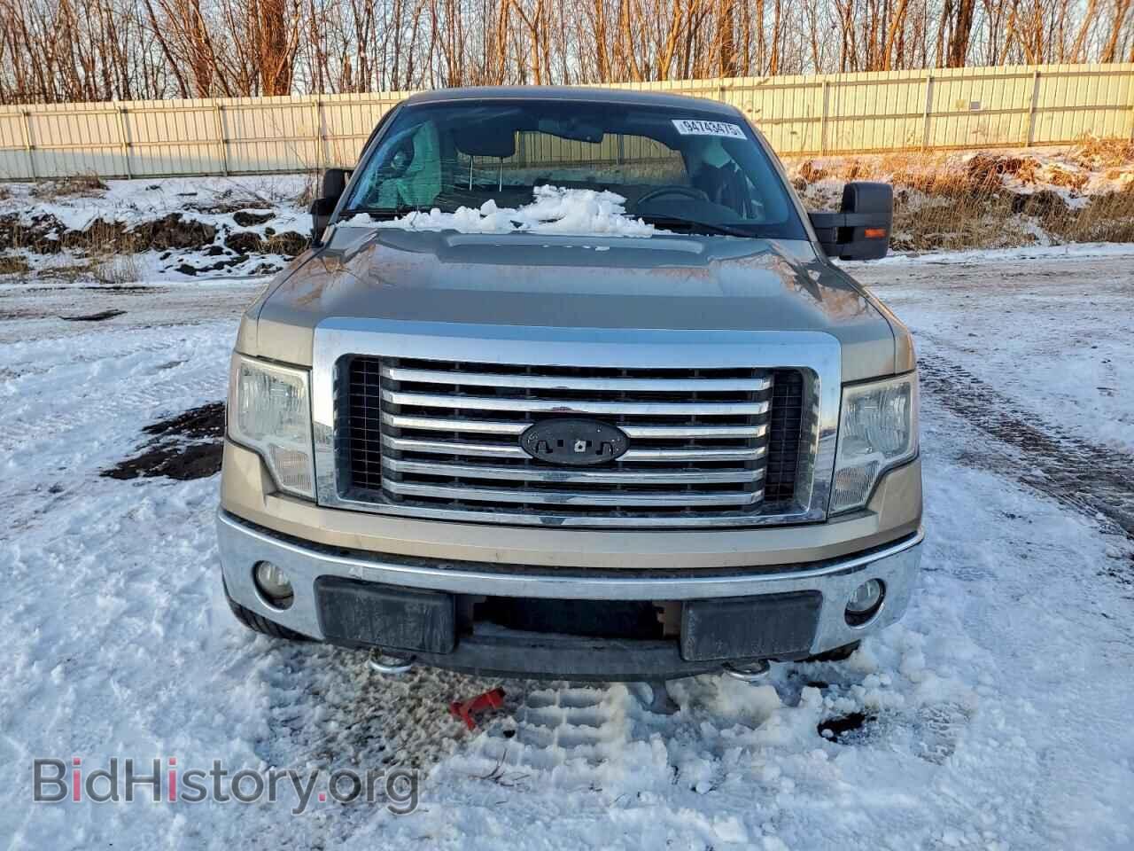 2011 FORD F-150 - VIN: 1FTFX1EF2BFC04548 - Фото 5