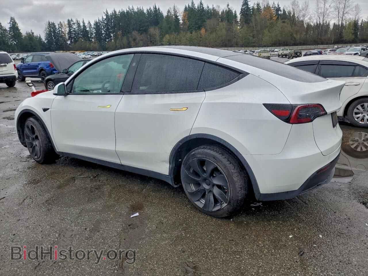 2023 TESLA MODEL Y - VIN: 7SAYGDEE0PF920929 - Photo 2