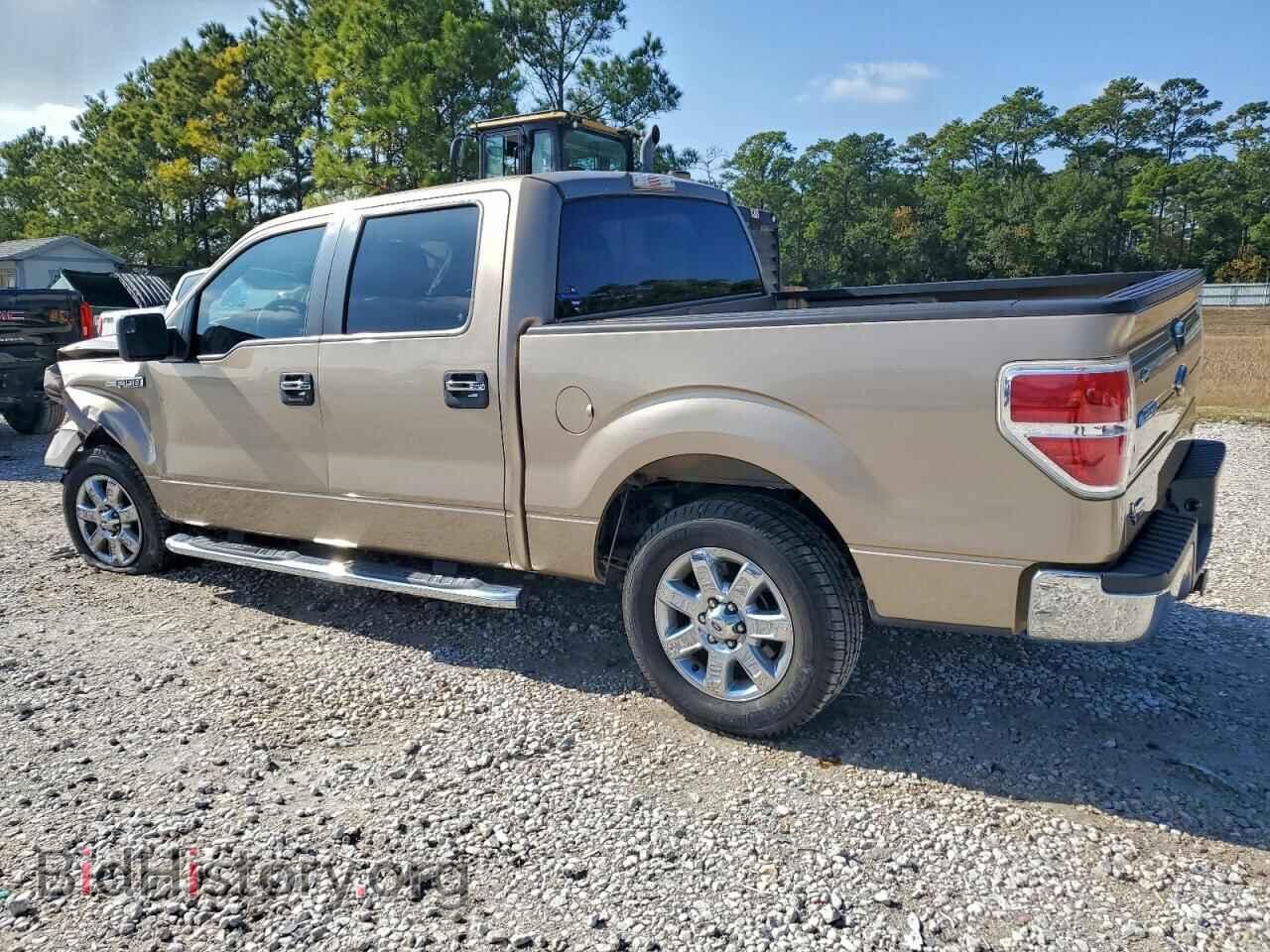 2013 FORD F-150 - VIN: 1FTEW1CM2DKF52439 - Фото 2