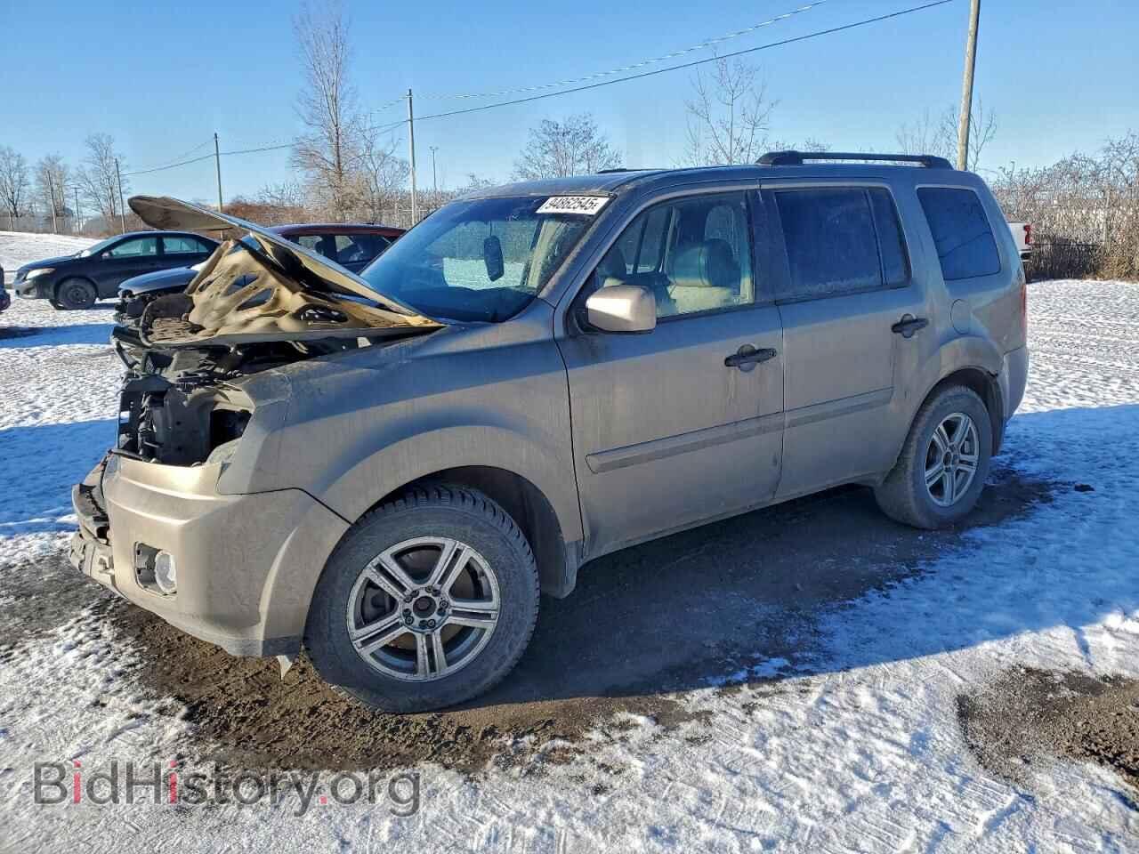 Фотография 5FNYF48579B501281 - HONDA PILOT 2009