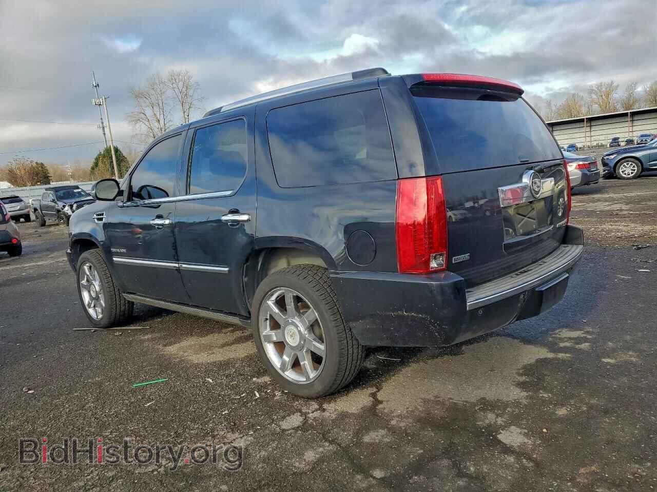 2010 CADILLAC ESCALADE - VIN: 1GYUCCEF9AR266695 - Фото 2
