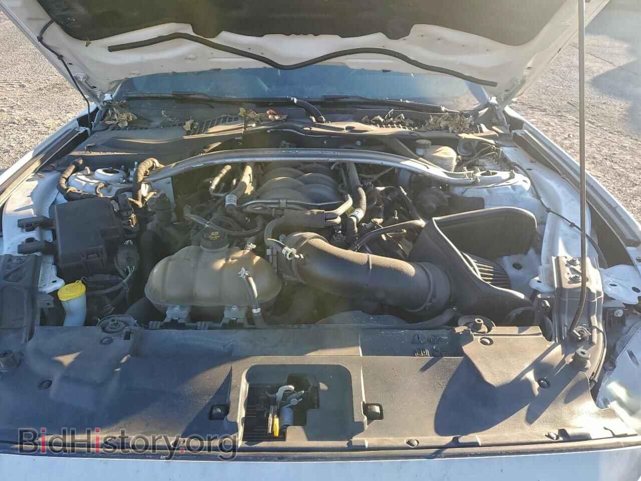 2019 FORD MUSTANG - VIN: 1FA6P8CF0K5125449 - Фото 11
