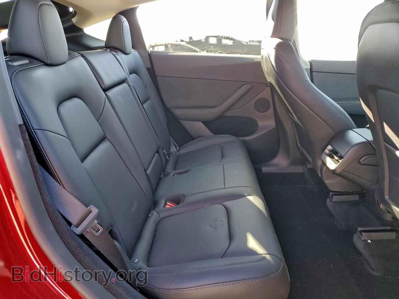 2024 TESLA MODEL Y - VIN: 7SAYGDEE3RF161275 - Фото 10