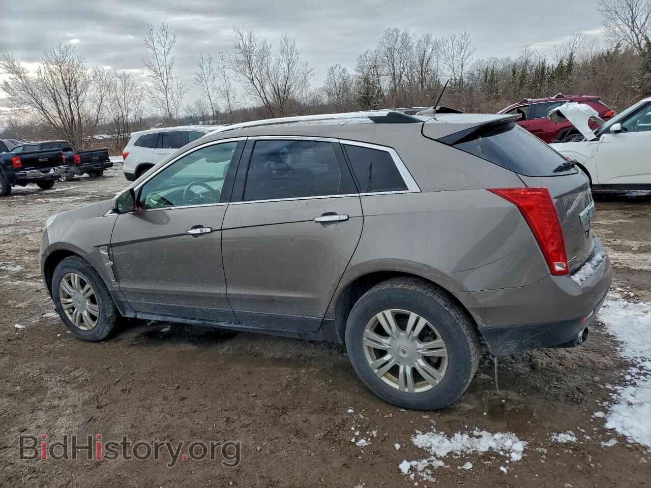 2011 CADILLAC SRX - VIN: 3GYFNAEY8BS558104 - Фото 2