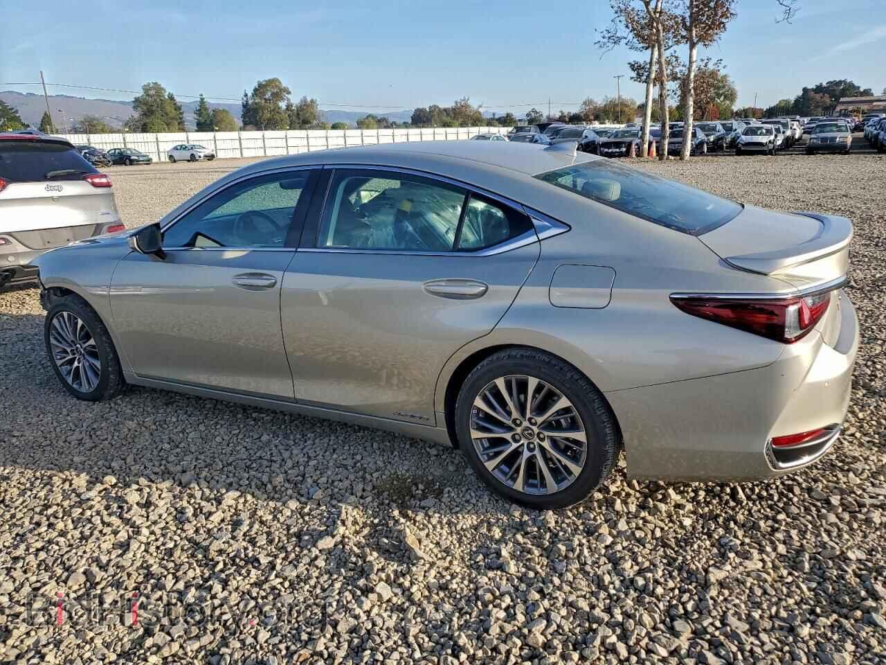 2021 LEXUS ES300 - VIN: 58ADA1C1XMU006528 - Фото 2