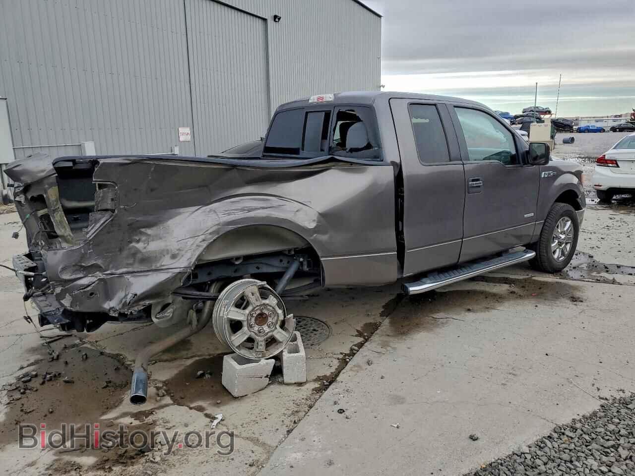 2014 FORD F-150 - VIN: 1FTFX1CT4EKD53192 - Фото 3