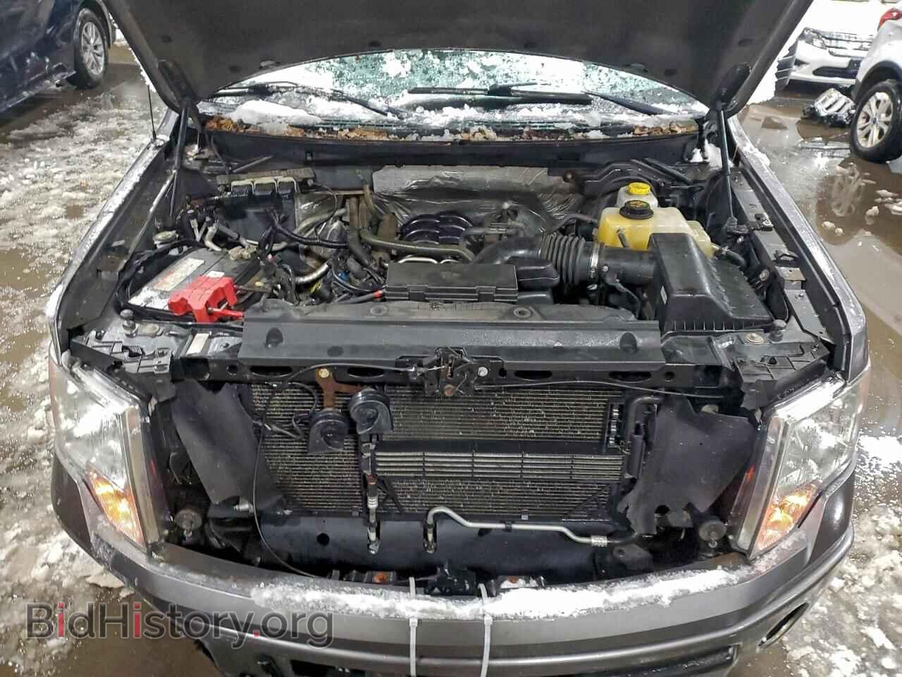 2014 FORD F-150 - VIN: 1FTFX1EF3EKF92675 - Фото 11