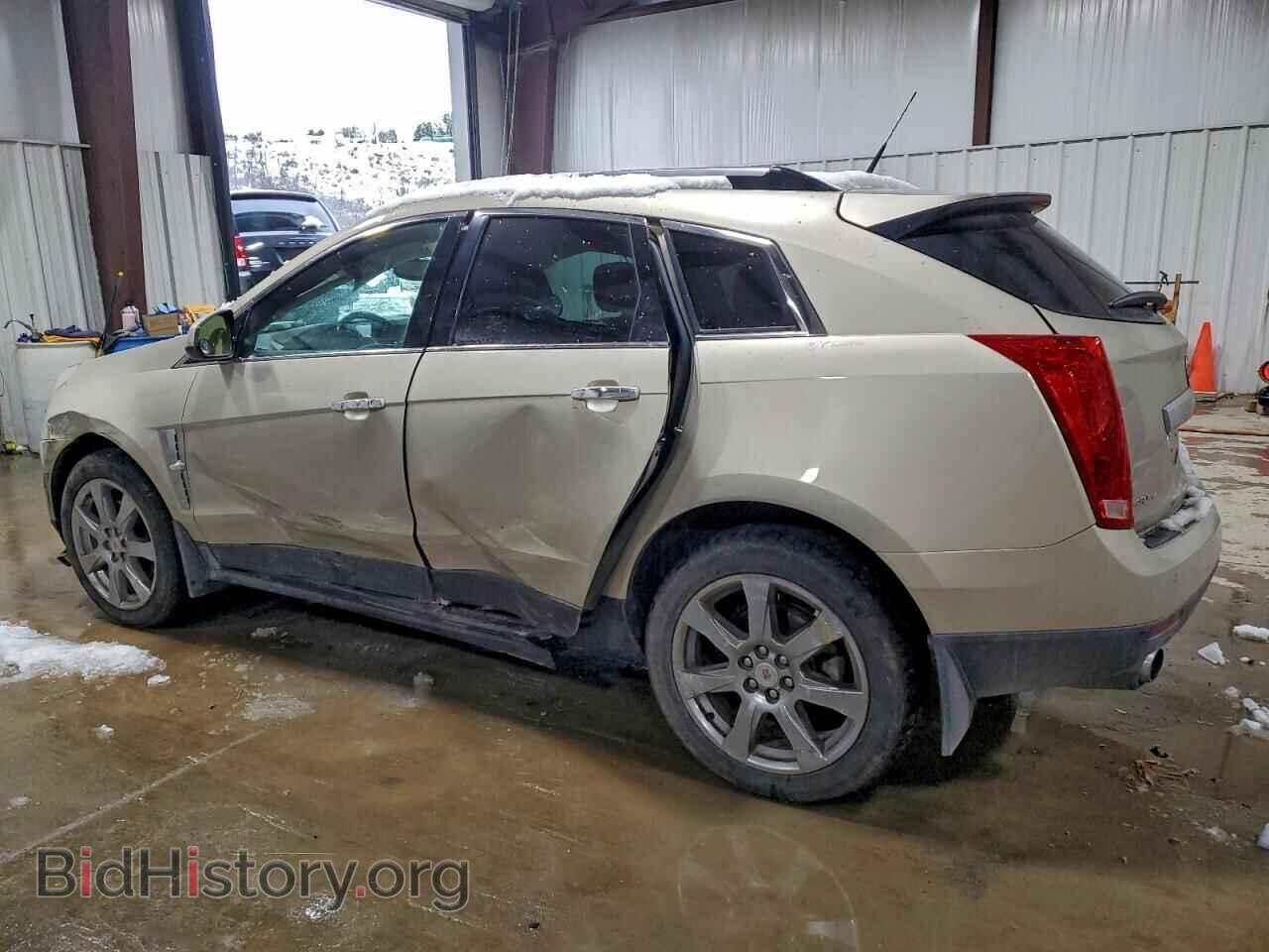 2010 CADILLAC SRX - VIN: 3GYFNFEY0AS504419 - Фото 2