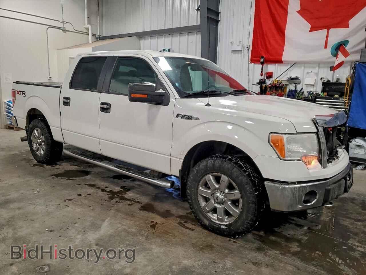 2013 FORD F-150 - VIN: 1FTFW1EF3DFC00689 - Фото 4
