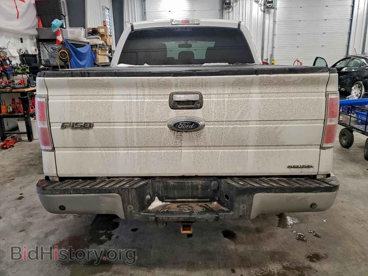 2013 FORD F-150 - VIN: 1FTFW1EF3DFC00689 - Фото 6